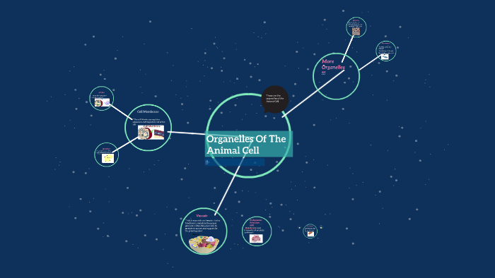 Organelles Of The Animal Cell by Lizbeth Camacho on Prezi