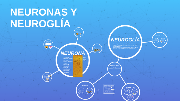 tipos de neuroglia