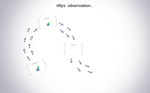 Tilli Study tillys observation.. by on Prezi