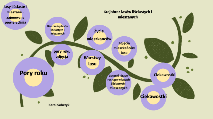 Porównaj Krajobraz Lasów Liściastych I Mieszanych prezi.com