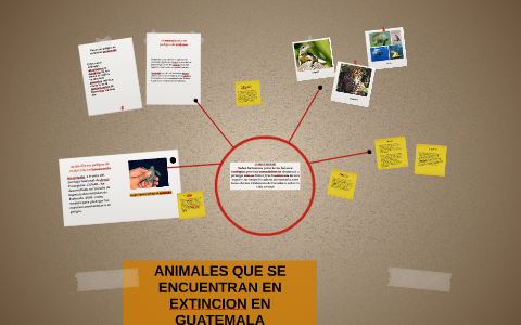 ANIMALES QUE SE ENCUENTRAN EN EXTINCION EN GUATEMALA by on Prezi