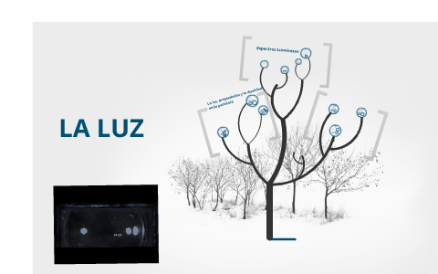 La luz by Kevin Yabar on Prezi