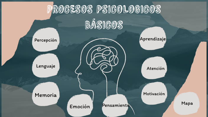 PROCESOS PSICOLOGICOS BÁSICOS By Gisell Ospina On Prezi