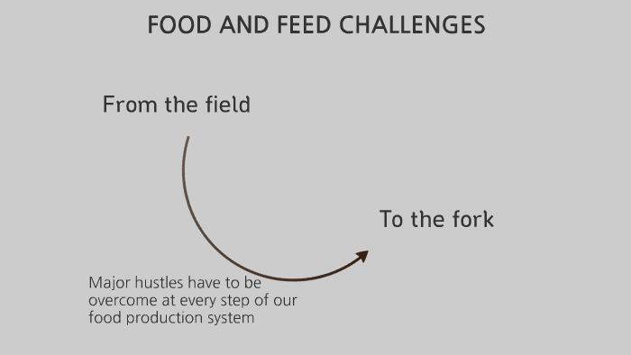 challenges-in-the-food-production-system-by-ella-d