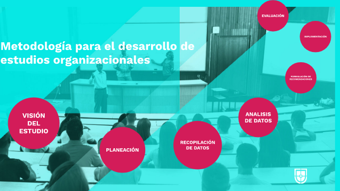 Metodología para el desarrollo de estudios organizacionales by yesenia ...