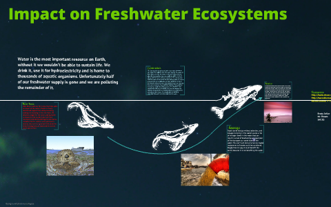 Human Impact on Freshwater Ecosystems by Brody Anthony on Prezi
