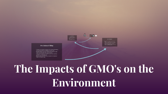 the-impacts-of-gmos-on-the-environment-by-emily-awesome