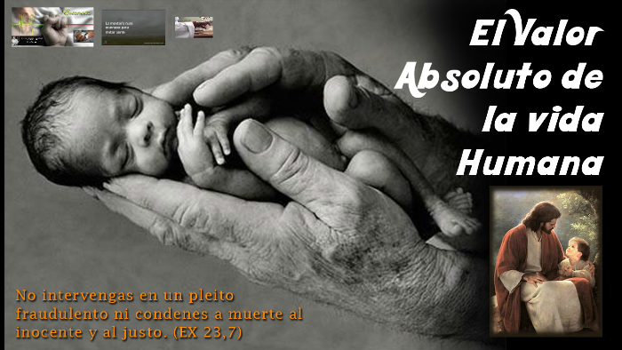 Valor Fundamental De La Vida Humana prezi.com