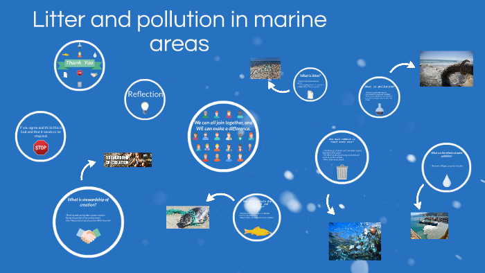 Litter and pollution in marine areas by Blue Berry on Prezi