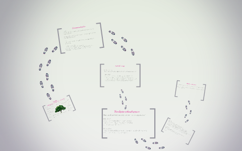 Mind Map by S Houtepen on Prezi