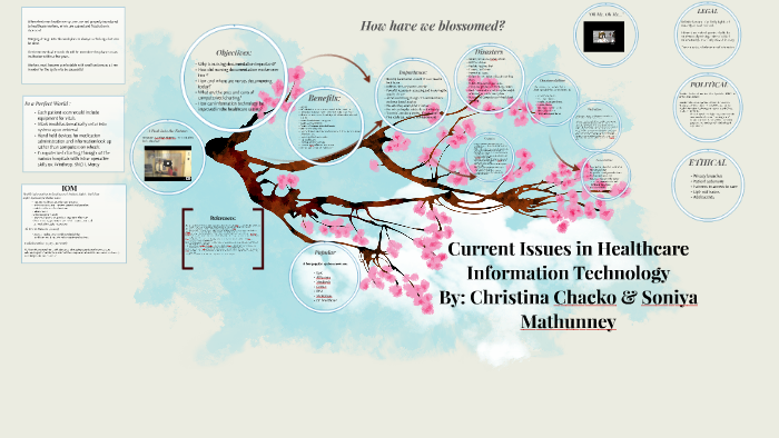 current-issues-in-healthcare-information-technology-by-christina-chacko