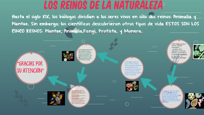 LOS REINOS DE LA NATURALEZA by Cristian Martínez on Prezi