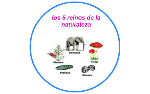 los 5 reinos de la naturaleza by maria isabel gutierrez vasquez on Prezi