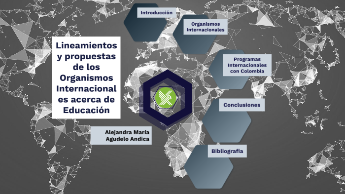 Lineamientos Y Propuestas De Los Organismos Internacionales Acerca De ...