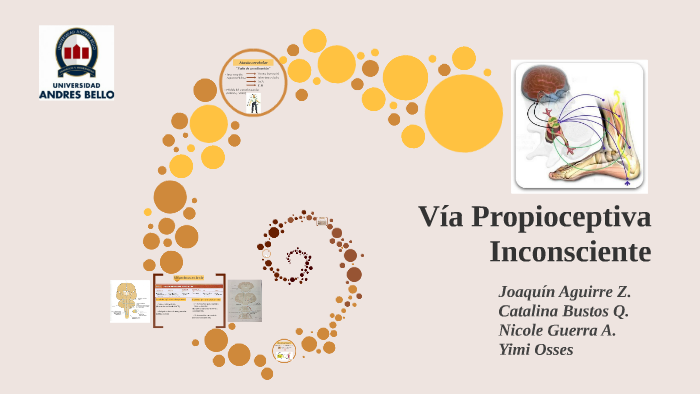 Via Inconsciente Vía Propioceptiva Inconsciente by Catalina Bustos on Prezi