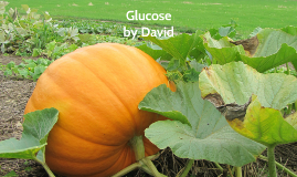 David Kern Glucose