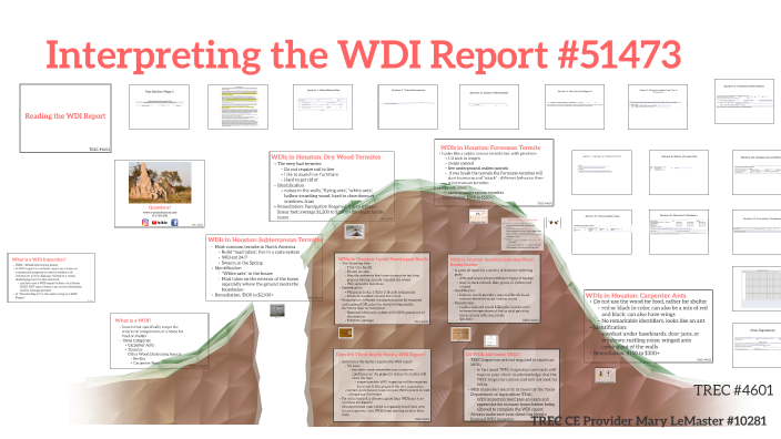 2022 CE Interpreting the WDI Report by Mary LeMaster on Prezi