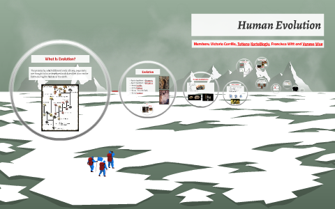 Human Evolution by vane wue on Prezi