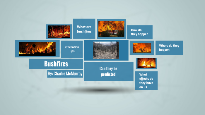 Bushfires by Charlie McMurray on Prezi
