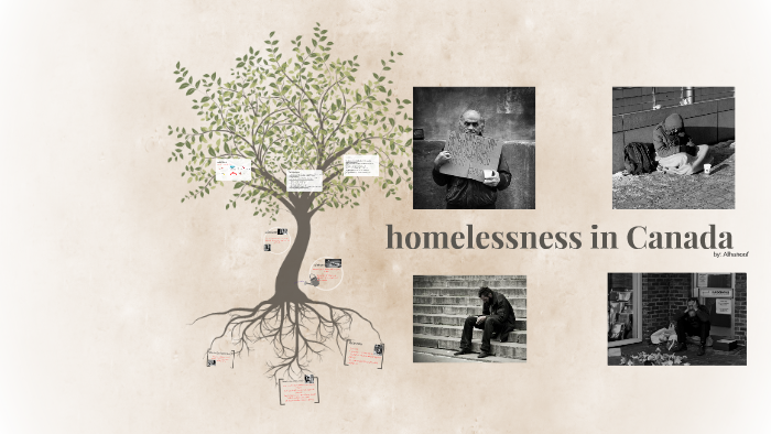 description of homeless shelter 3 phases
