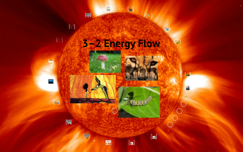 Biology Chapter 3 Section 2 Energy Flow By Mark Meredith On Prezi