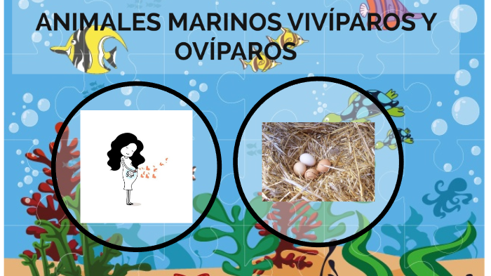 Animales vivíparos y ovíparos by laura devesa on Prezi