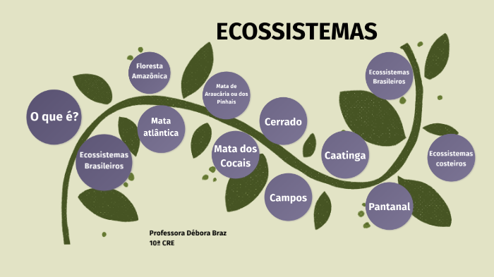 Ecossistemas by Débora Braz on Prezi