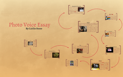 the voice essay questions and answers