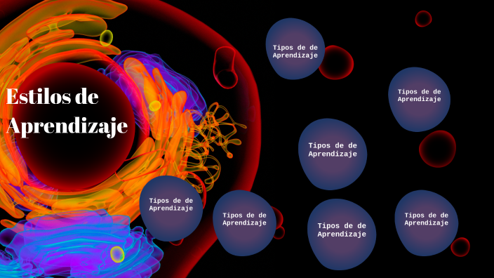 15 ESTILOS DE APRENDIZAJE by Katherine Andrango on Prezi
