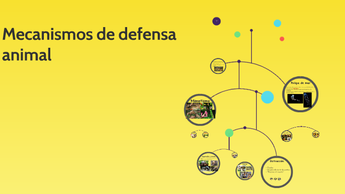 Mecanismos de defensa animal by Carmen Hernández Lozano on Prezi