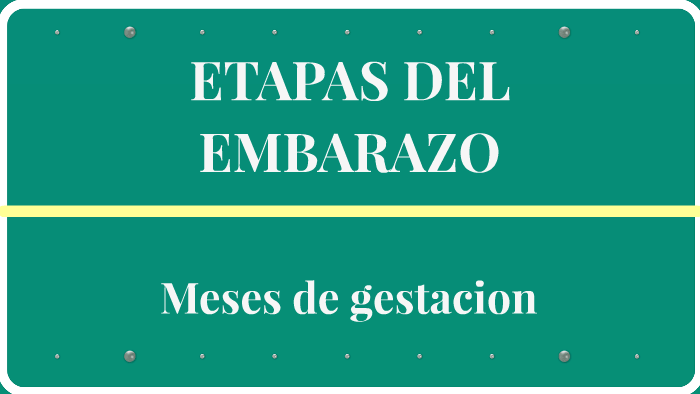 Etapas Del Embarazo By Susana Henriquez 4768