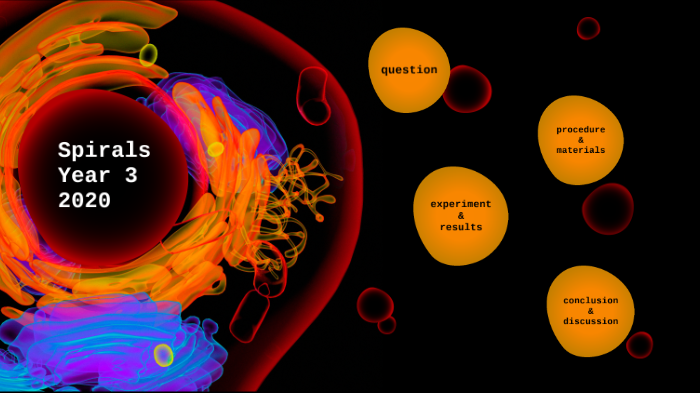 Spirals Year 3 2020 by Melanie Thomas on Prezi