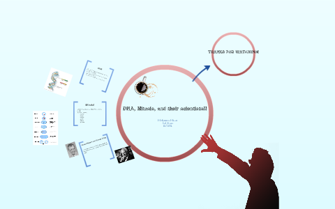 DNA, Mitosis, and their scientists! by McKenna Miller on Prezi
