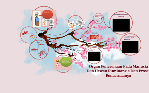 34+ Hewan ruminansia adalah kelompok hewan update