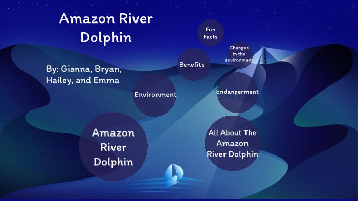 Pink Amazon River Dolphin By Bryan Kigongo