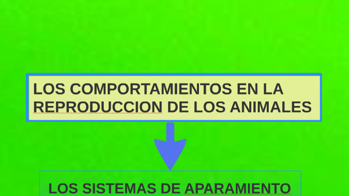 LOS COMPORTAMIENTOS EN LA REPRODUCCION DE LOS ANIMALES by Pedro Navarro