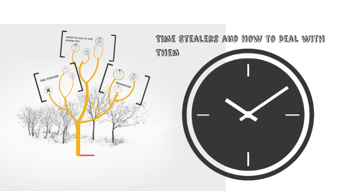 The Time Stealers by Glynne MacLean