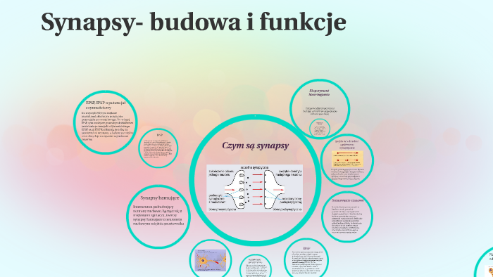 Synapsy by Kamila Gumkowska on Prezi