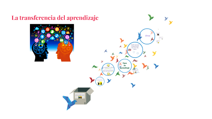 Cómo Ocurre La Transferencia En El Aprendizaje