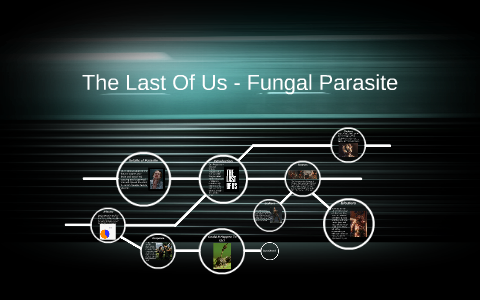 is fungal infection like last of us possible