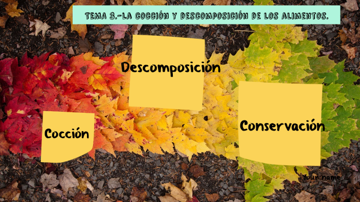 La cocción y la descomposición de los alimentos by abigail_ortga