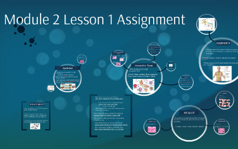 Module 2 Lesson 1 Assignment by Ashto Cain on Prezi