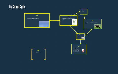 The Carbon Cycle by Dan L. on Prezi