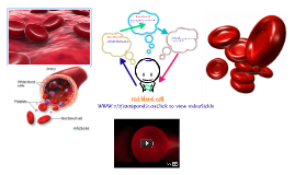 free powerpoint templates mac red blood cells
