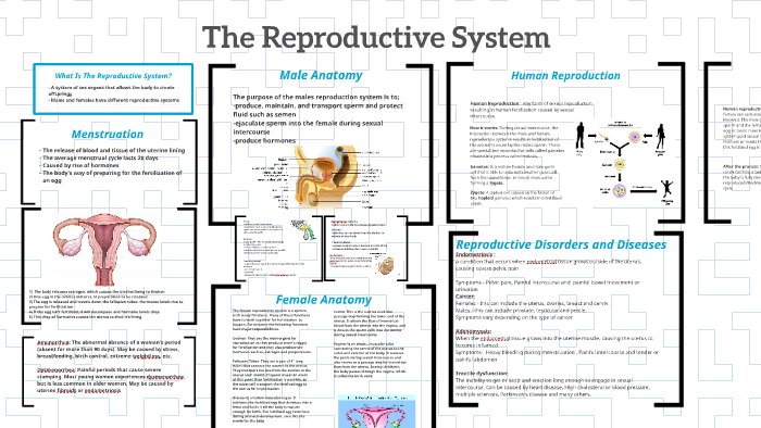 The Reproductive System by Gillian Riddell on Prezi