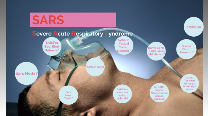 sars-severe-acute-respiratory-syndrome-by-enes-ayd-n