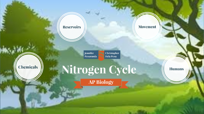 nitrogen cycle by jennifer penaranda on Prezi
