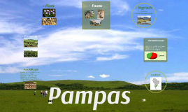 Copy of Cópia de Learn Prezi Fast