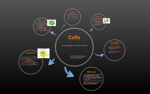 Cells by Corinne Kampman on Prezi