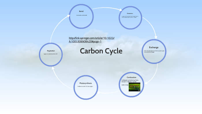 Carbon Cycle by Caitlin Purvee on Prezi